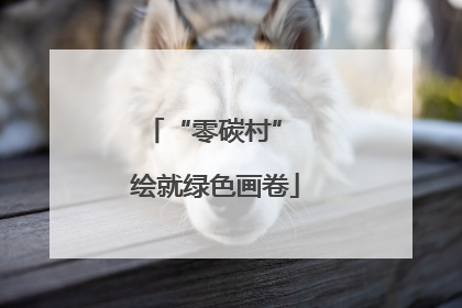 “零碳村” 绘就绿色画卷