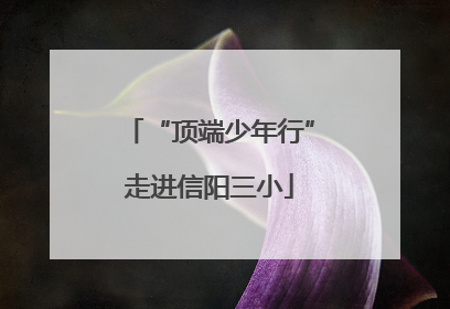 “顶端少年行”走进信阳三小
