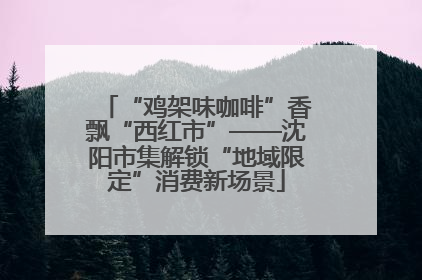 “鸡架味咖啡”香飘“西红市”——沈阳市集解锁“地域限定”消费新场景