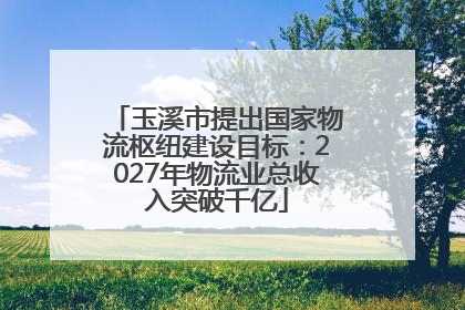 玉溪市提出国家物流枢纽建设目标：2027年物流业总收入突破千亿