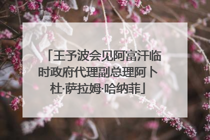 王予波会见阿富汗临时政府代理副总理阿卜杜·萨拉姆·哈纳菲