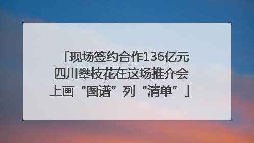 现场签约合作136亿元 四川攀枝花在这场推介会上画“图谱”列“清单”