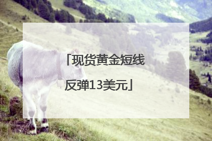 现货黄金短线反弹13美元