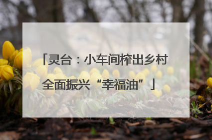 灵台：小车间榨出乡村全面振兴“幸福油”
