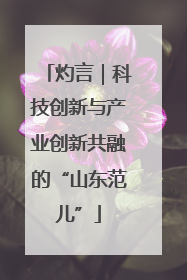 灼言｜科技创新与产业创新共融的“山东范儿”