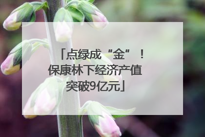 点绿成“金”！保康林下经济产值突破9亿元