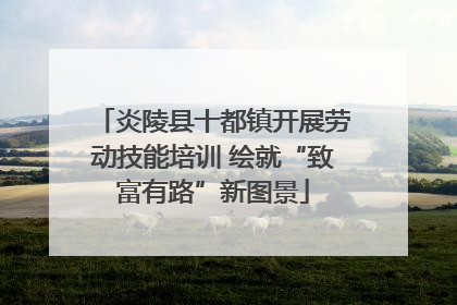 炎陵县十都镇开展劳动技能培训 绘就“致富有路”新图景