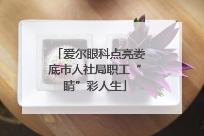 爱尔眼科点亮娄底市人社局职工“睛”彩人生