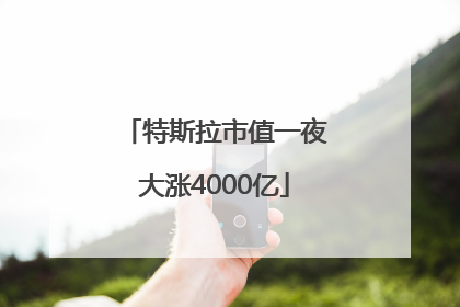 特斯拉市值一夜大涨4000亿