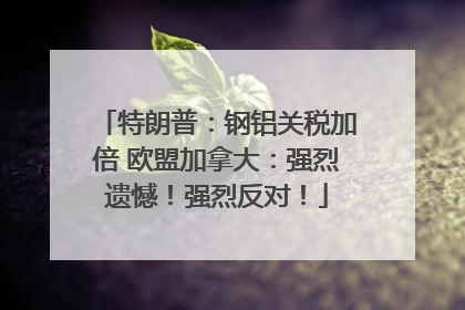 特朗普：钢铝关税加倍 欧盟加拿大：强烈遗憾！强烈反对！