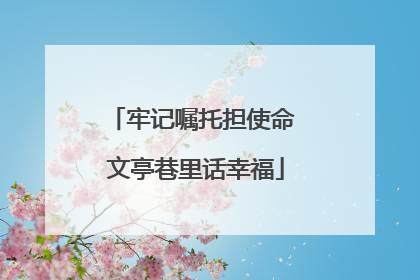牢记嘱托担使命 文亭巷里话幸福