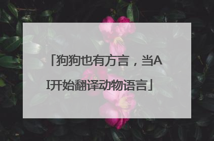 狗狗也有方言，当AI开始翻译动物语言
