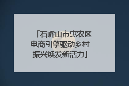 石嘴山市惠农区电商引擎驱动乡村振兴焕发新活力
