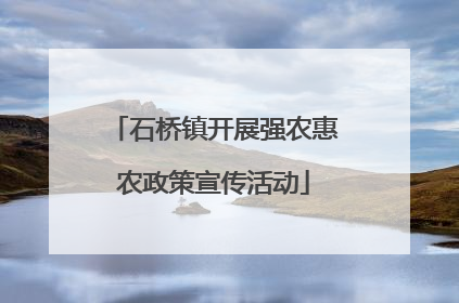 石桥镇开展强农惠农政策宣传活动