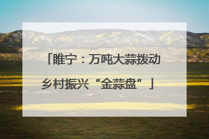 睢宁：万吨大蒜拨动乡村振兴“金蒜盘”