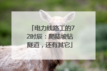 电力线路工的72时辰：爬陡坡钻隧道，还有其它