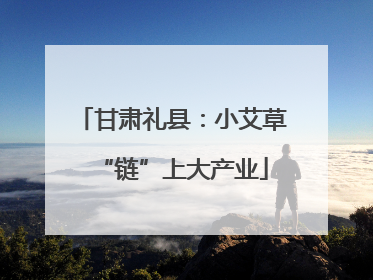 甘肃礼县：小艾草“链”上大产业