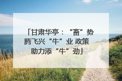 甘肃华亭：“畜”势腾飞兴“牛”业 政策助力添“牛”劲