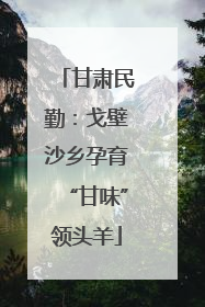 甘肃民勤：戈壁沙乡孕育“甘味”领头羊