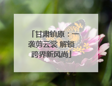 甘肃镇原：一袭剪云裳 解锁跨界新风尚