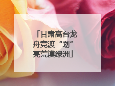 甘肃高台龙舟竞渡“划”亮荒漠绿洲