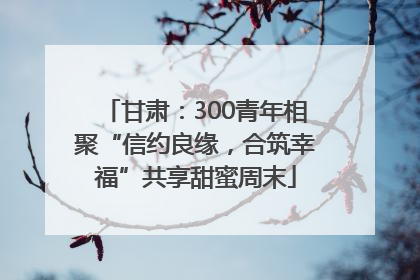 甘肃：300青年相聚“信约良缘，合筑幸福”共享甜蜜周末
