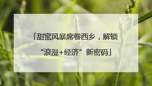 甜蜜风暴席卷西乡，解锁“浪漫+经济”新密码