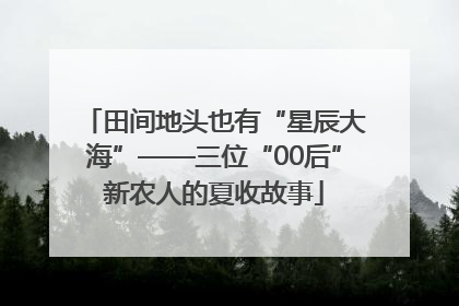田间地头也有“星辰大海”——三位“00后”新农人的夏收故事