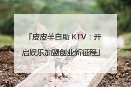 皮皮羊自助 KTV：开启娱乐加盟创业新征程