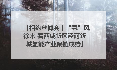 相约丝博会｜“氢”风徐来 看西咸新区泾河新城氢能产业聚链成势
