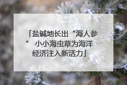 盐碱地长出“海人参” 小小海虫草为海洋经济注入新活力
