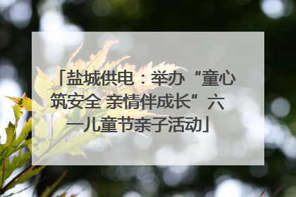 盐城供电：举办“童心筑安全 亲情伴成长”六一儿童节亲子活动