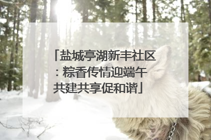 盐城亭湖新丰社区：粽香传情迎端午 共建共享促和谐