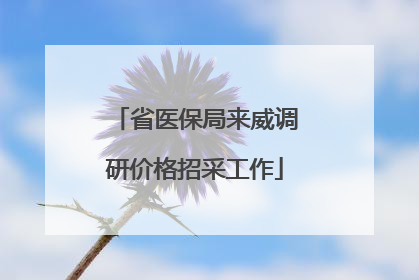 省医保局来威调研价格招采工作