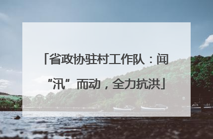 省政协驻村工作队：闻“汛”而动，全力抗洪