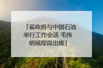省政府与中国石油举行工作会谈 毛伟明戴厚良出席