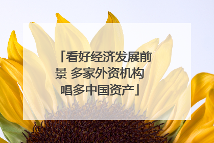 看好经济发展前景 多家外资机构唱多中国资产