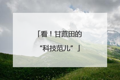 看！甘蔗田的“科技范儿”