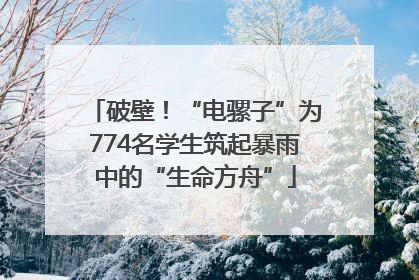 破壁！“电骡子”为774名学生筑起暴雨中的“生命方舟”