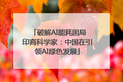 破解AI能耗困局 印裔科学家：中国在引领AI绿色发展