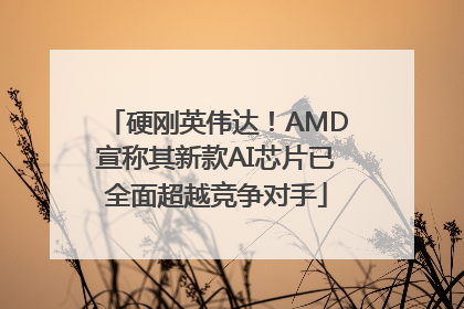 硬刚英伟达！AMD宣称其新款AI芯片已全面超越竞争对手