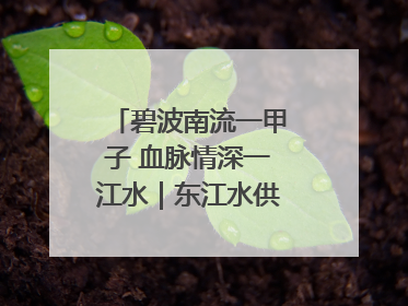 碧波南流一甲子 血脉情深一江水｜东江水供港60周年