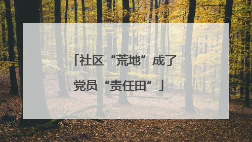 社区“荒地”成了党员“责任田”
