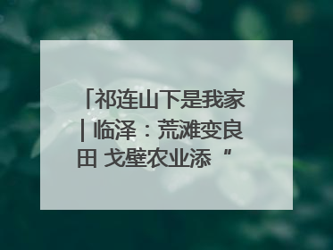 祁连山下是我家｜临泽：荒滩变良田 戈壁农业添“绿”生“金”
