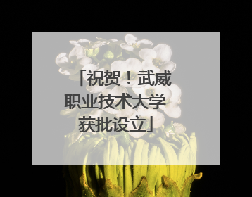 祝贺！武威职业技术大学获批设立