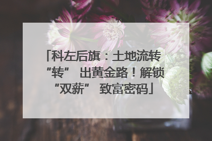 科左后旗：土地流转 “转” 出黄金路！解锁 “双薪” 致富密码
