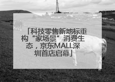 科技零售新地标重构“家场景”消费生态，京东MALL深圳首店启幕