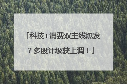 科技+消费双主线爆发？多股评级获上调！