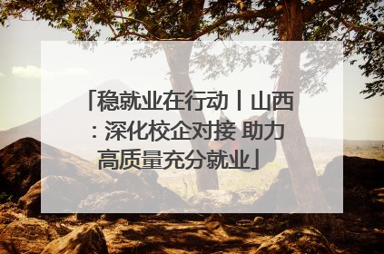 稳就业在行动丨山西：深化校企对接 助力高质量充分就业