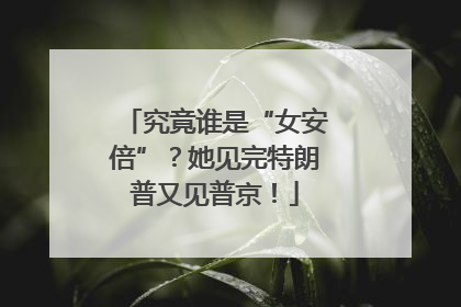究竟谁是“女安倍”？她见完特朗普又见普京！